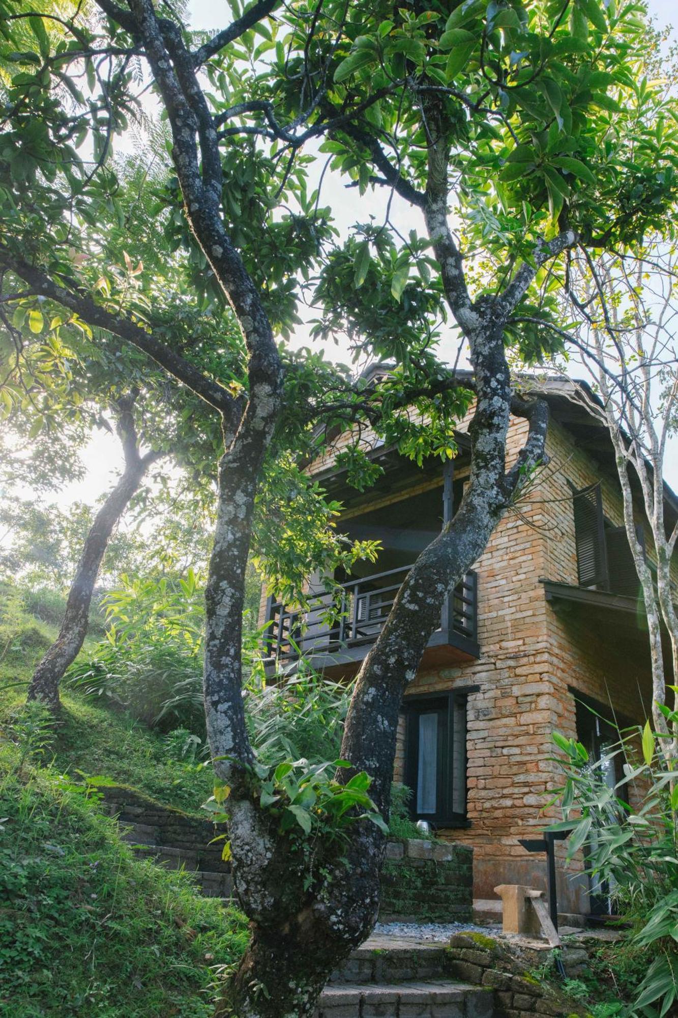 Tiger Mountain Pokhara Lodge Luaran gambar